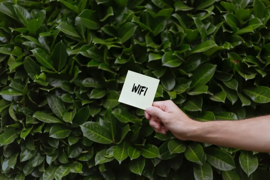 do czego służy wifi