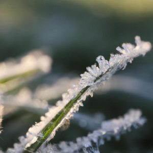 Jak powstaje szadź i rosa?