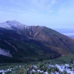 gdzie występuje tundra