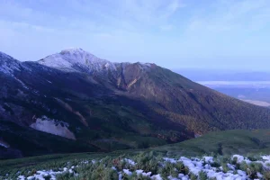 gdzie występuje tundra