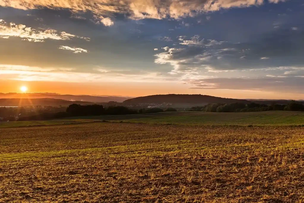 1 hektar ile to arów - dlaczego warto to wiedzieć?